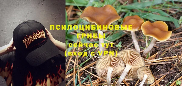 ALPHA-PVP Верея