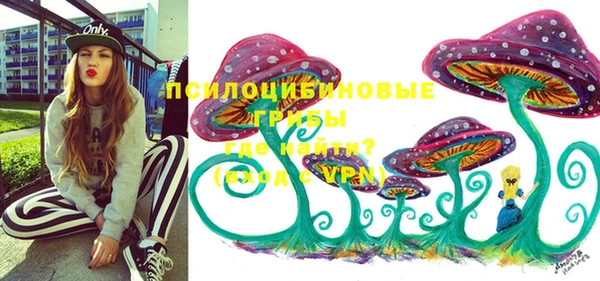 МДПВ Верхнеуральск