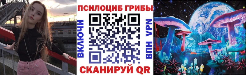 KRAKEN зеркало  дарнет шоп  Питкяранта  Галлюциногенные грибы Psilocybine cubensis 